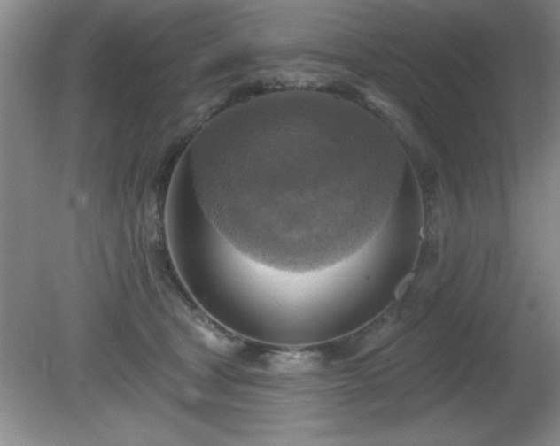 X0000081380465200701182210