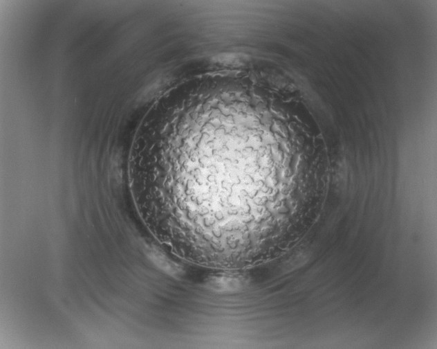X0000081380466200701182210