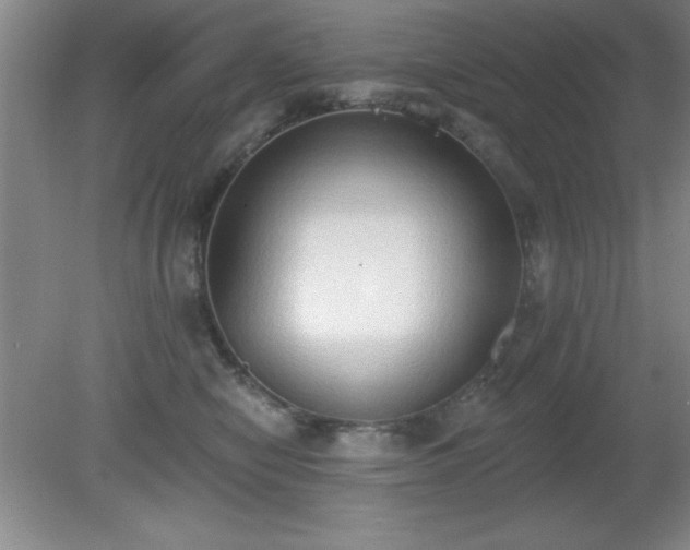X0000081380470200701182210