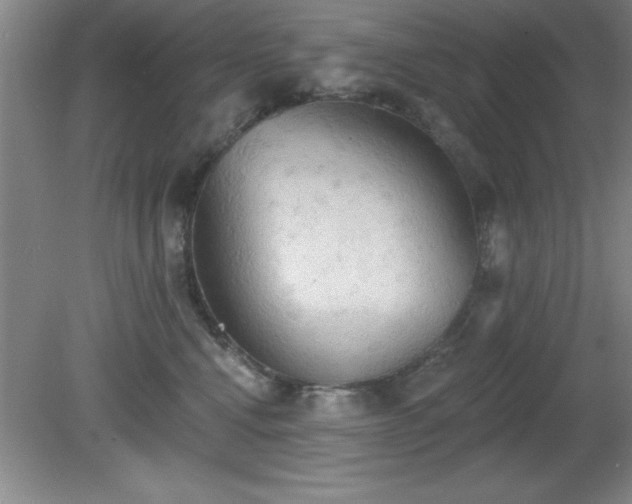 X0000081380472200701182210