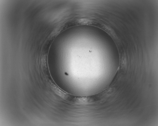 X0000081380473200701182210