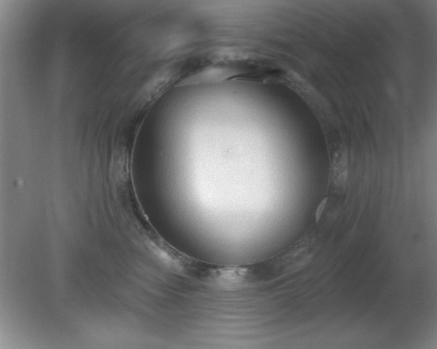 X0000081380474200701182210