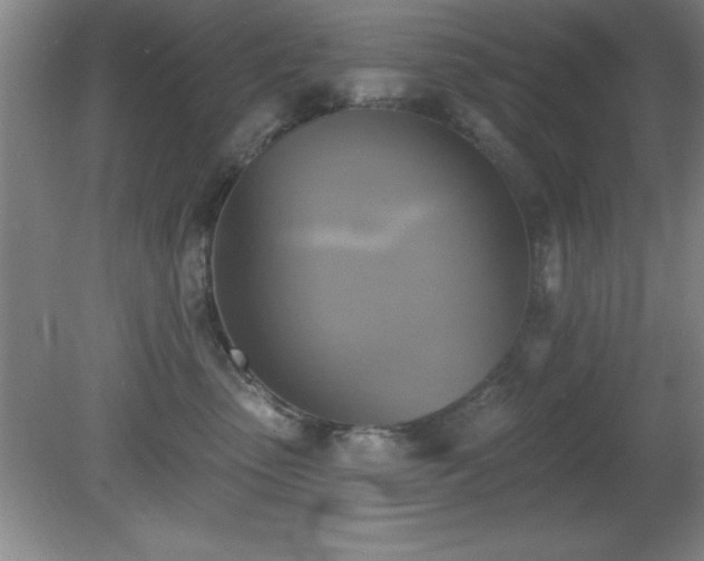 X0000081380475200701182210