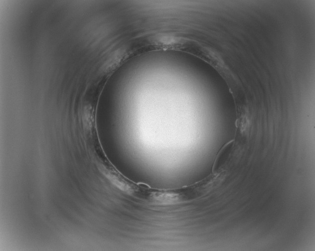 X0000081380476200701182210