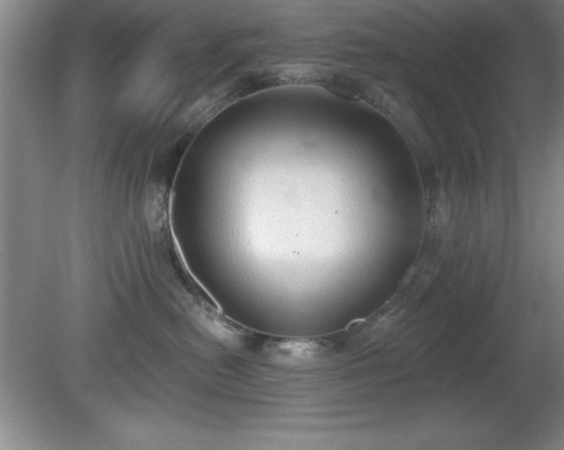 X0000081380478200701182210