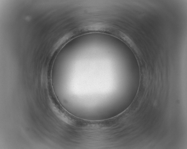 X0000081380482200701182209