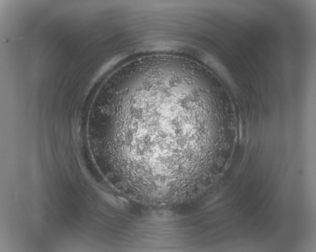 X0000081380483200701182209