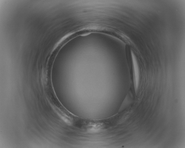 X0000081380484200701182209