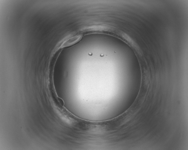 X0000081380486200701182209