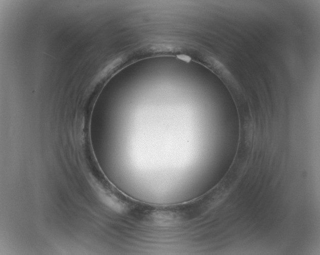 X0000081380490200701182209