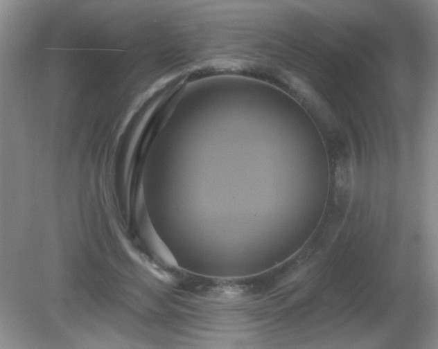 X0000081380492200701182209