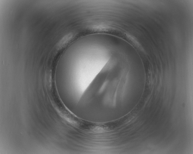 X0000081380494200701182209