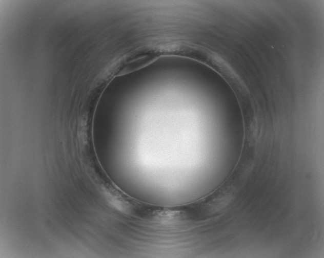 X0000081380497200701182209