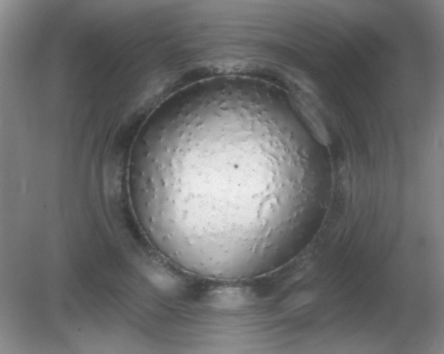 X0000081380499200701182209