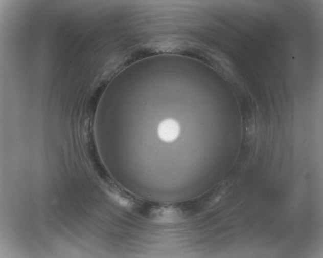 X0000081380503200701182209