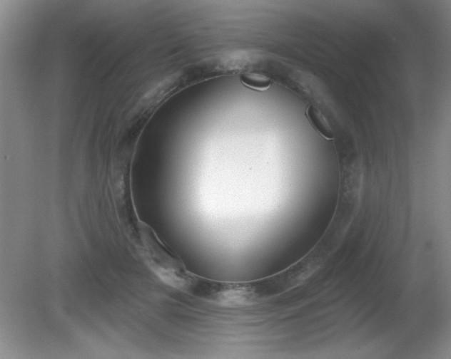 X0000081380505200701182209