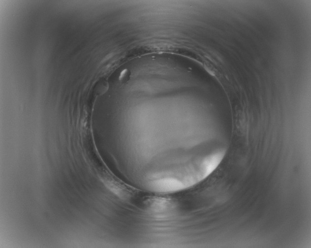 X0000081380507200701182209