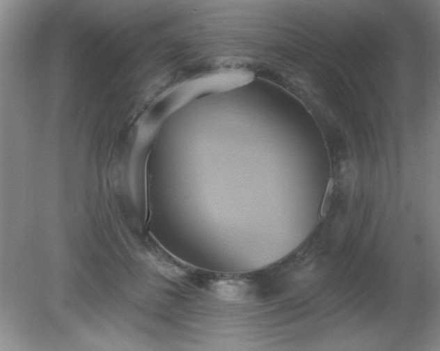 X0000081380508200701182209