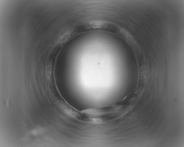 X0000081380509200701182209