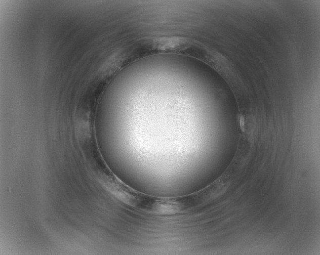 X0000081380510200701182209