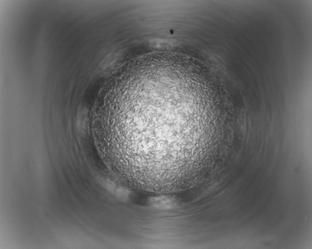 X0000081380511200701182209