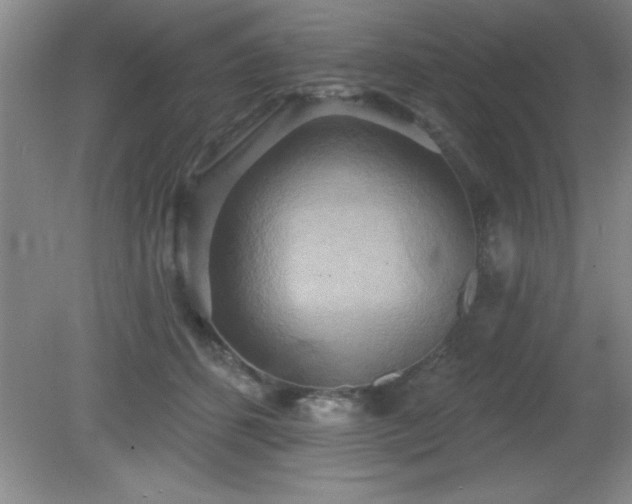 X0000081380512200701182209