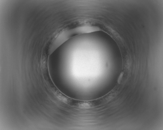 X0000081380513200701182209