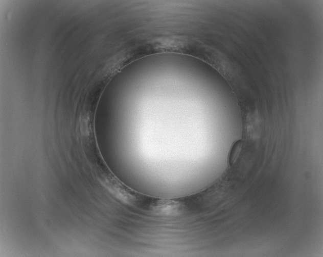 X0000081380514200701182209
