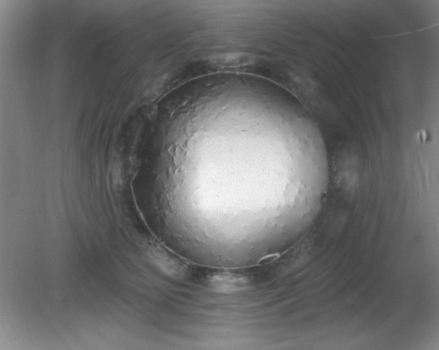 X0000081380515200701182209