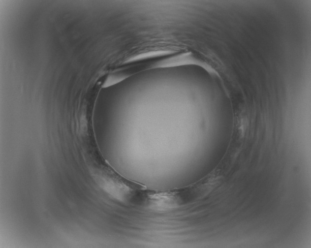 X0000081380516200701182209