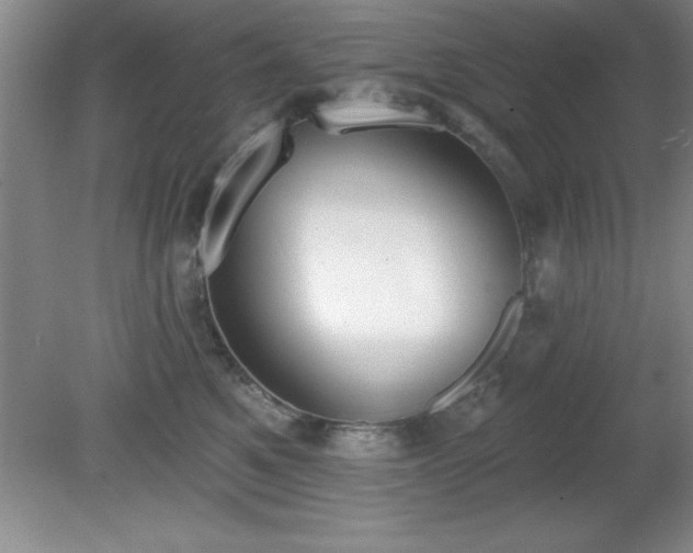 X0000081380521200701182209