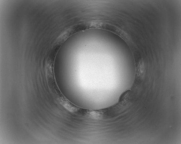 X0000081380522200701182209