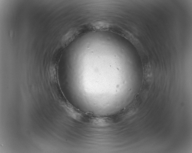 X0000081380523200701182209