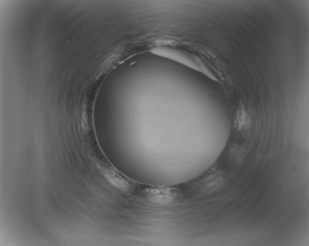 X0000081380524200701182209