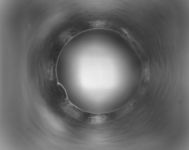 X0000081380525200701182209