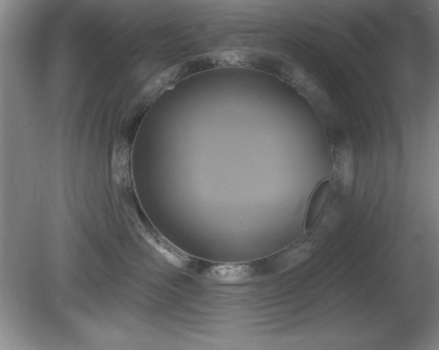 X0000081380526200701182209