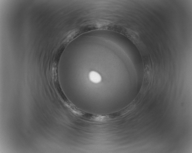 X0000081380527200701182209