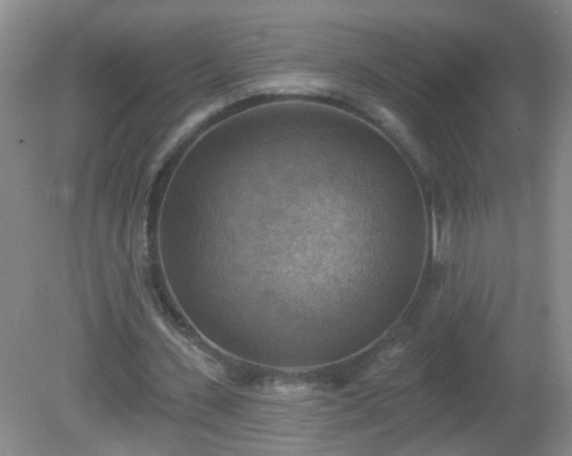 X0000081380531200701182208
