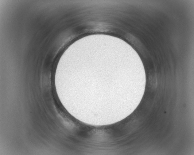 X0000081380534200701182208