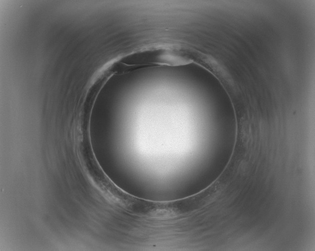 X0000081380536200701182208