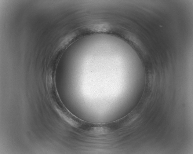 X0000081380541200701182208