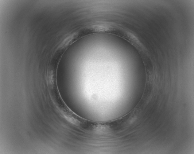 X0000081380549200701182208