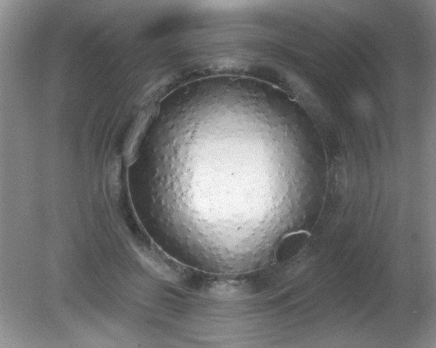 X0000081380550200701182208