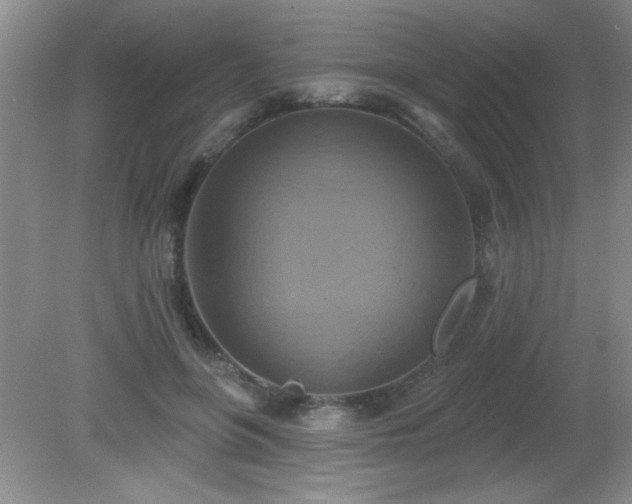 X0000081380551200701182208