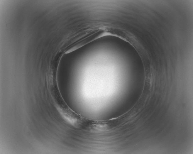 X0000081380552200701182208