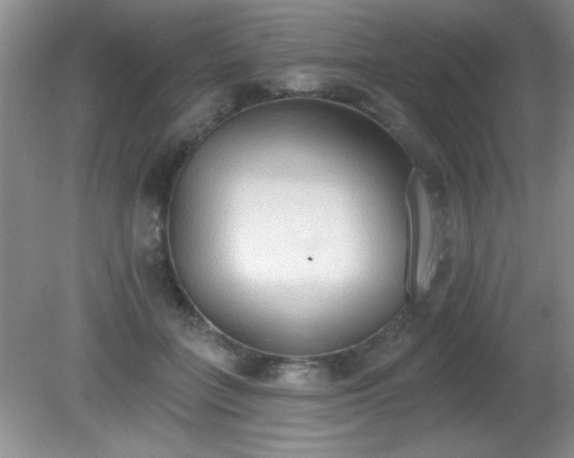 X0000081380555200701182208