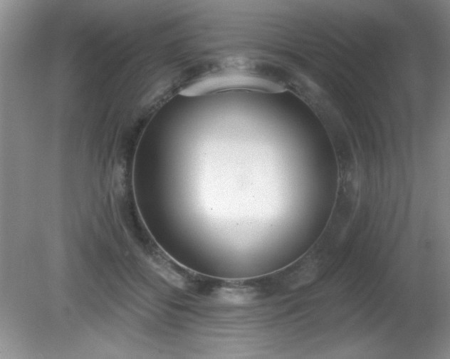 X0000081380556200701182208