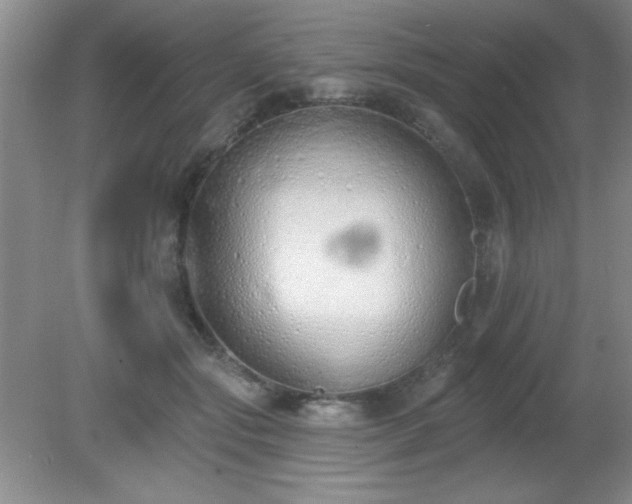 X0000081380557200701182208