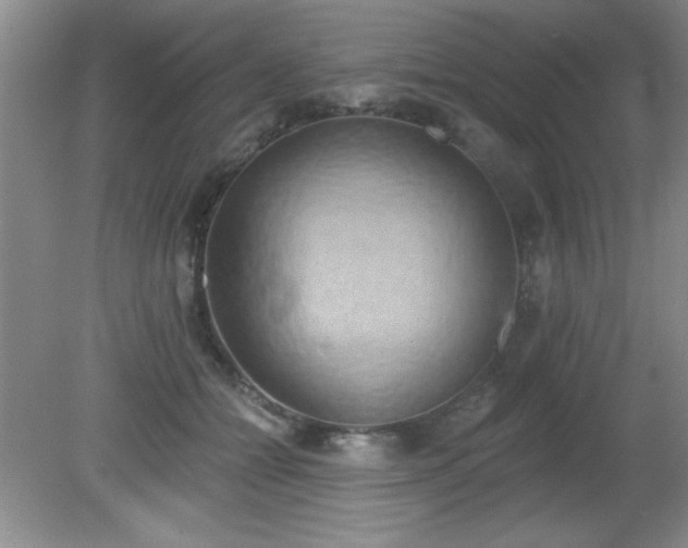 X0000081380558200701182208