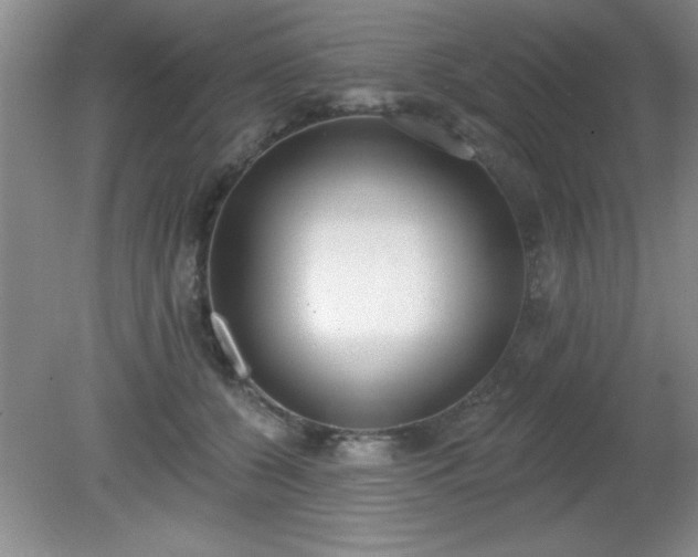 X0000081380560200701182208